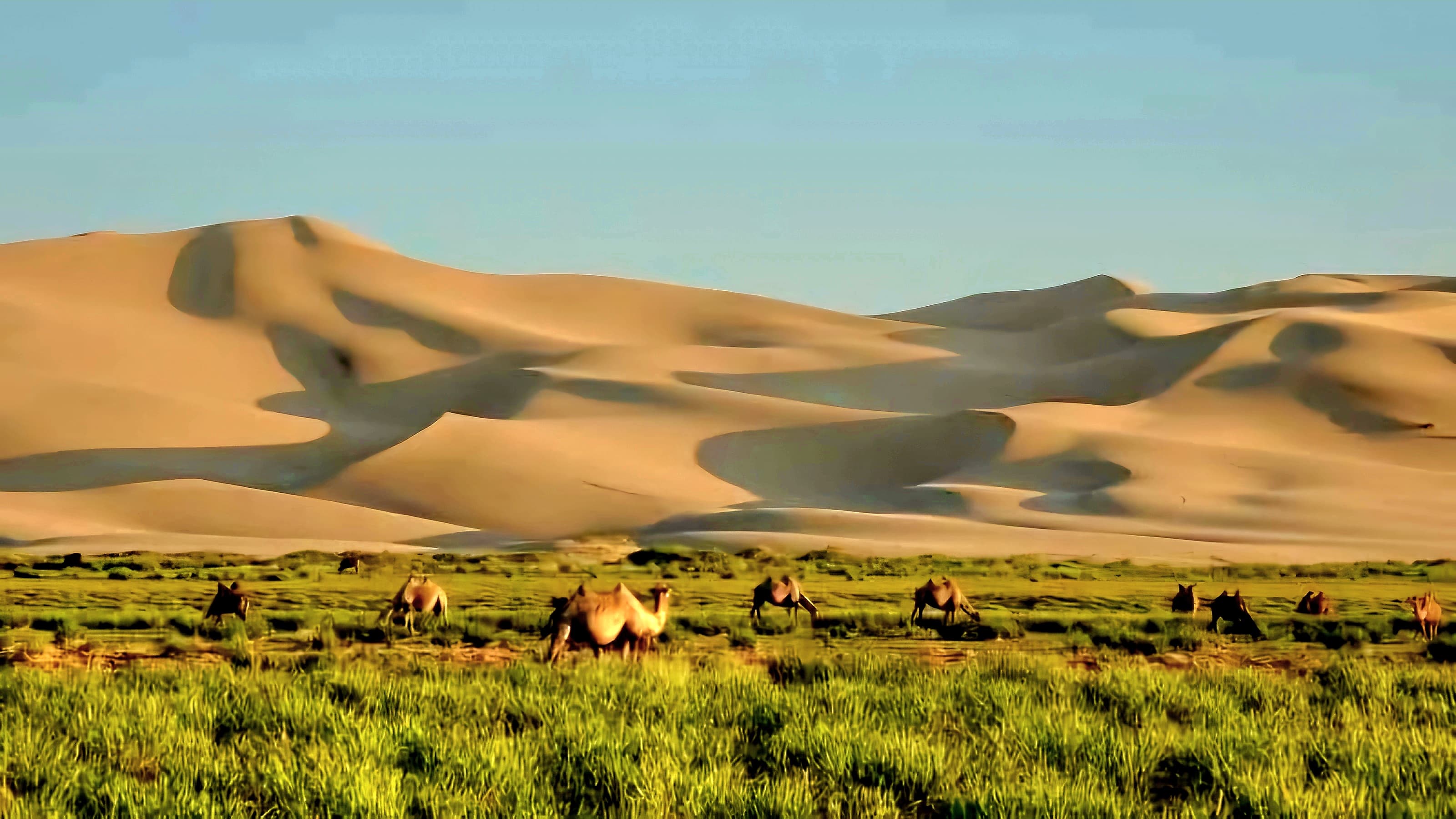 Gobi Desert Landscape